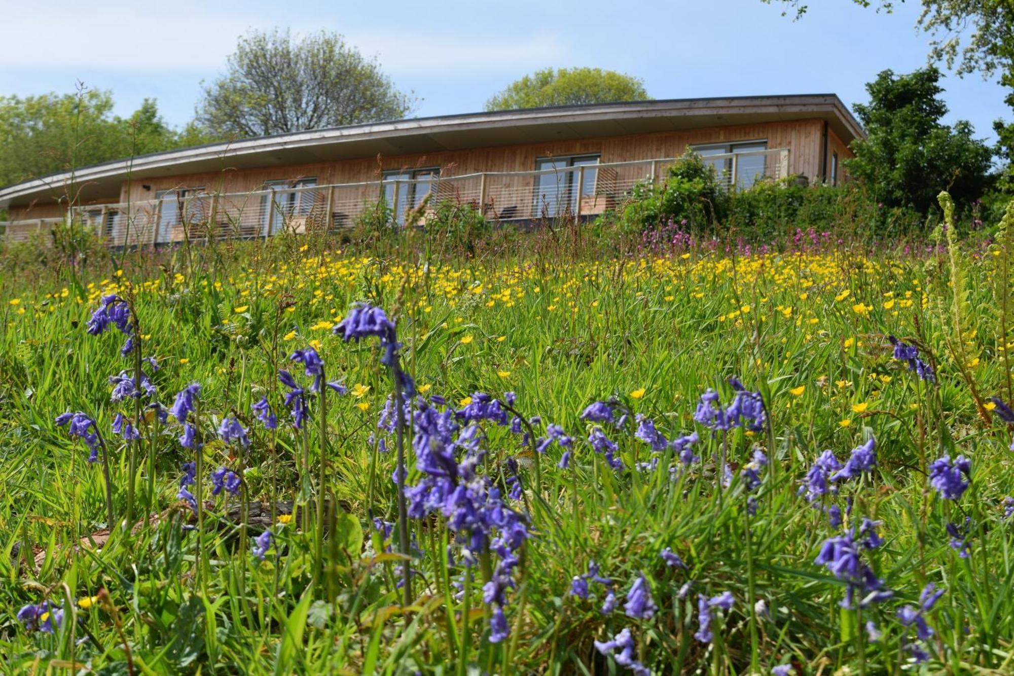 The Sanctuary Cornwall Golant Exterior photo